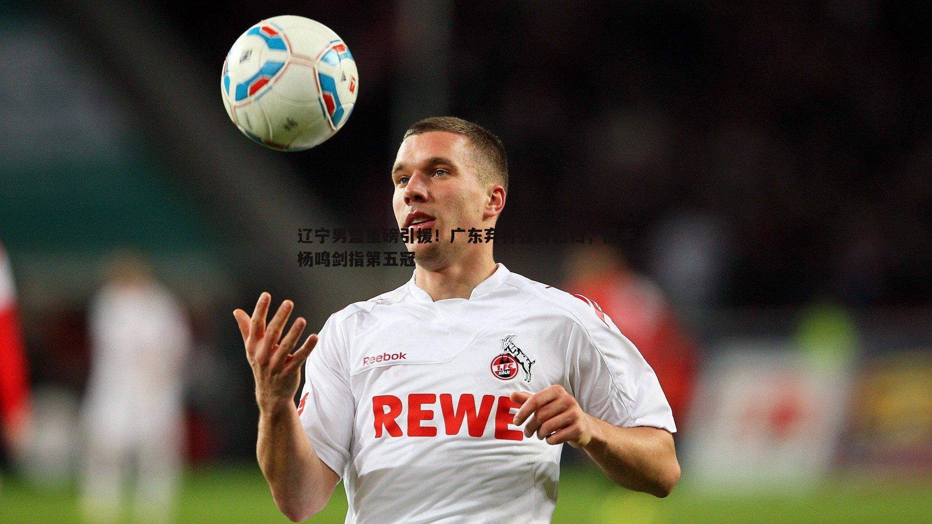 辽宁男篮重磅引援！广东弃将强势回归，携手杨鸣剑指第五冠